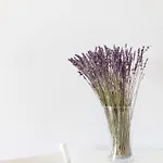 λεβάντα Apartmán Lichnaftia