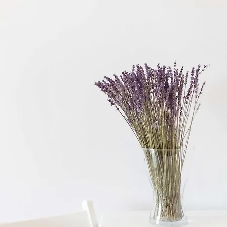 λεβάντα Lägenhet Lichnaftia
