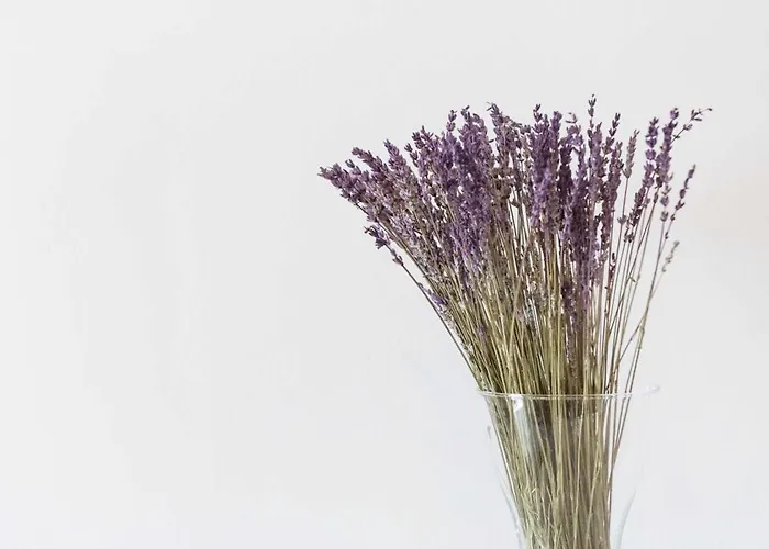 λεβάντα Apartman Lichnaftia