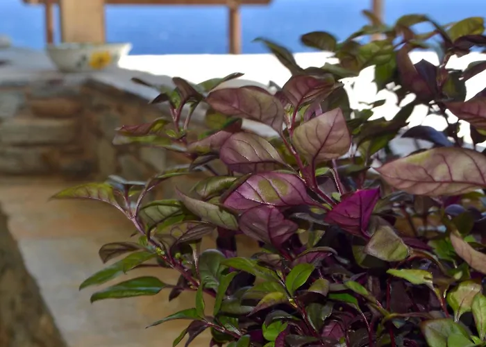 λεβάντα Apartman